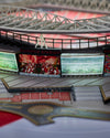 Stadiums For Ants