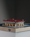 Stadiums For Ants